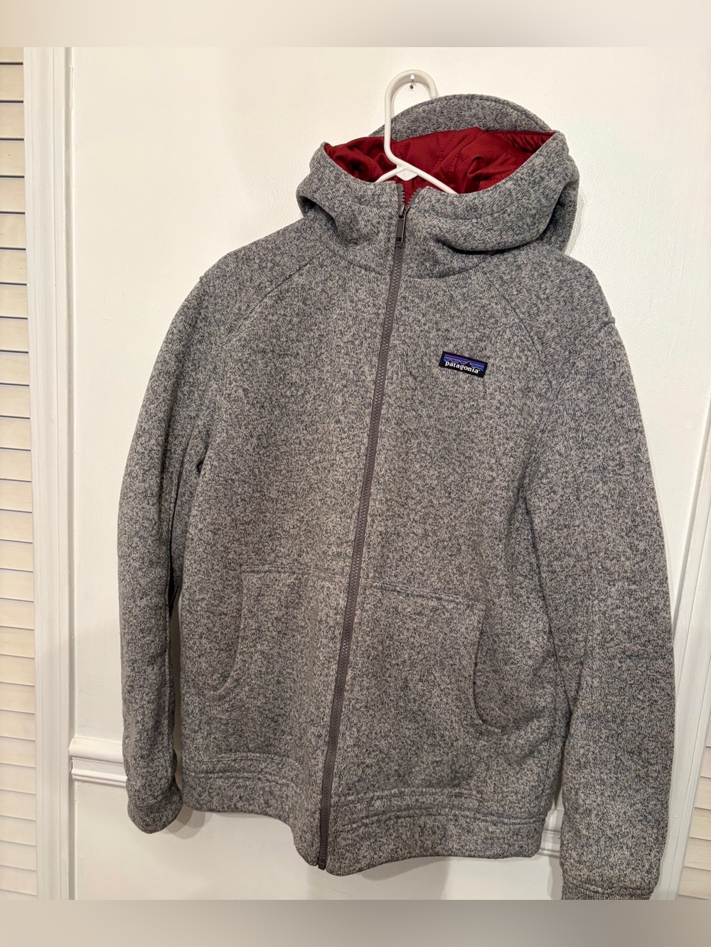 Patagonia Gray Full-Zip Hooded Fleece with Reddish Brown Lining